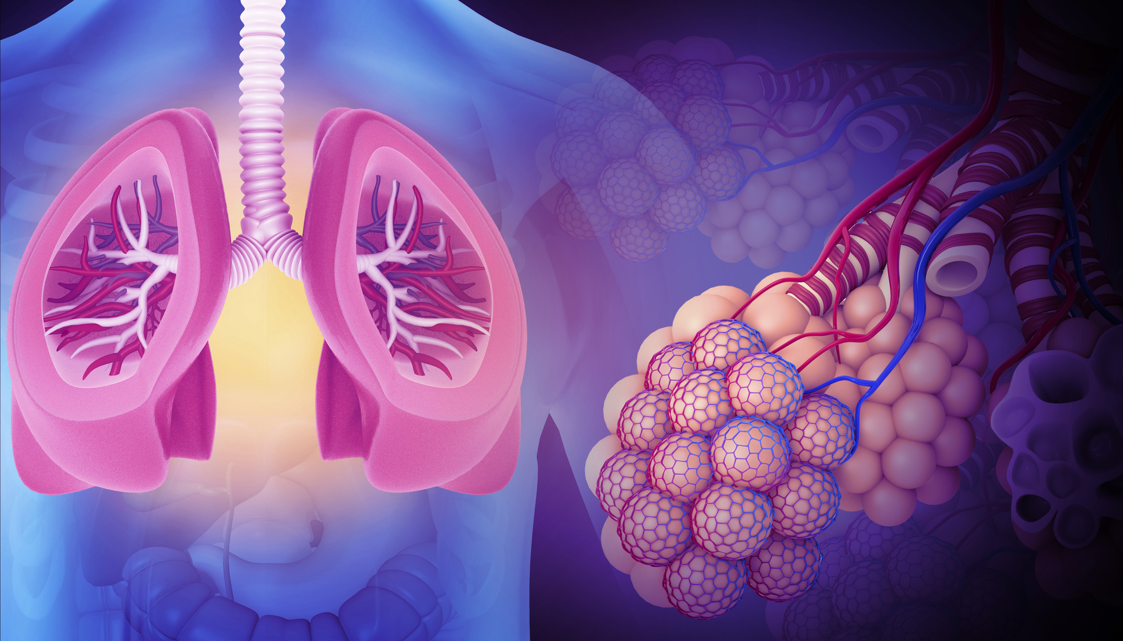 Pulmonology